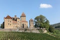 Castle of Pierreclos in Burgundy