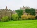 Castle and plantlife Royalty Free Stock Photo
