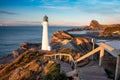 Castlepoint cliffs and lighthouse from stairs during sunset