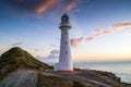 Castle Point Lighthouse in sunrise, New Zealand Royalty Free Stock Photo