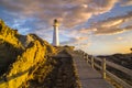 Castle Point Lighthouse in sunrise, New Zealand Royalty Free Stock Photo