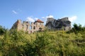 Castle Rabsztyn in Poland