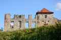 Castle Rabsztyn in Poland