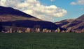 Castle Rigg Stone Circle in Cumbria England