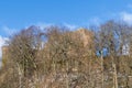 Castle ruin Alt Eberstein in Ebersteinburg - Baden-Baden with snow Royalty Free Stock Photo