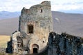 Castle ruin, forest in the background Royalty Free Stock Photo