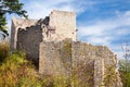 Castle ruin Lobdeburg