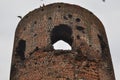 Castle ruins in KoÃâo. Destroyed towers and defensive walls made of red brick on the bank of the Warta River