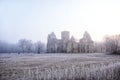 castle ruins in the morning sun Royalty Free Stock Photo