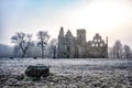 castle ruins in the morning sun Royalty Free Stock Photo