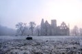 castle ruins in the morning sun Royalty Free Stock Photo