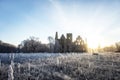 castle ruins in the morning sun Royalty Free Stock Photo