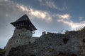 Castle ruins Nevitsky Transcarpathia Ukraine