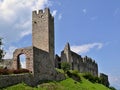 Castle ruins stone tower with and entry gate