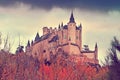 Castle of Segovia in november Royalty Free Stock Photo