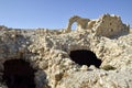 Castle Shobak ruins. Royalty Free Stock Photo
