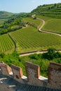 Castle of Soave near Verona