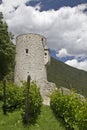 Castle in South Tyrol Royalty Free Stock Photo