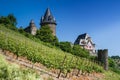 Castle Stahleck in the vineyards Royalty Free Stock Photo