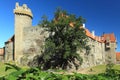 Castle in Strakonice Royalty Free Stock Photo