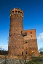 Castle of Swiecie Royalty Free Stock Photo