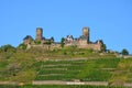 The castle Thurant in HunsrÃÂ¼ck on the Alkener castle mountain which is planted with grapes with blue sky
