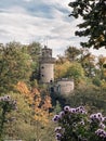 Castle with a tower and a forest in the background Royalty Free Stock Photo