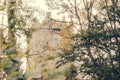 The Castle Tower Through The Trees