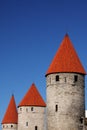 Castle towers