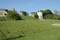 Castle and vine in Aisne, France Royalty Free Stock Photo