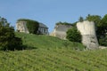 Castle and vine in Aisne, France Royalty Free Stock Photo