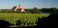 Castle in a vineyard