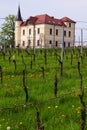 Castle And Vineyard In Spring, Prekmurje, Slovenia Royalty Free Stock Photo