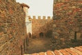Castle walls and grapes Royalty Free Stock Photo