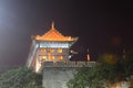 Castle walls at night