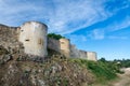 Castle of William the Conqueror, Castle of Falaise