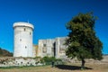 Castle of William the Conqueror, Castle of Falaise