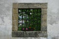 Castle window Royalty Free Stock Photo