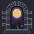 Castle window with night landscape and full moon