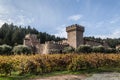 Castle winery