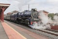 The R 711 steam train with passenger carriages pulls into Castlemaine railway station