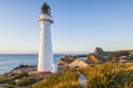 Castlepoint Lighthouse New Zealand