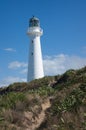 Castlepoint, New Zealand Royalty Free Stock Photo