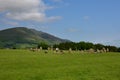 Skiddaw and Castlerigg Lake District, Cumbria, UK Royalty Free Stock Photo