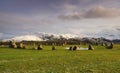 Castlerigg stone circle, winter sun