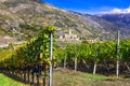 Castles and vineyards of Valle d`Aosta. famous wine region of northern Italy.  Castello Reale di Sarre, Italy Royalty Free Stock Photo