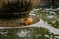 Castolovice, Eastern Bohemia, Czech Republic, 11 September 2021: renaissance castle, sculpture of yellow toad or frog by water in