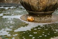 Castolovice, Eastern Bohemia, Czech Republic, 11 September 2021: renaissance castle, sculpture of yellow toad or frog by water in