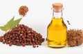 Castor oil seeds, cut out on white background
