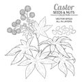 Castor vector set